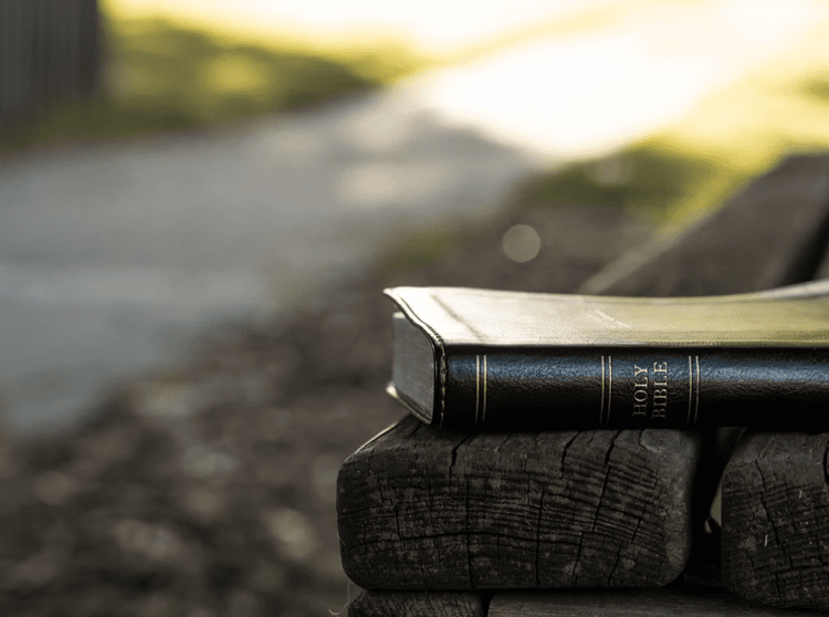 Bible laying on board by the side of a road www.pinkinnovations.com