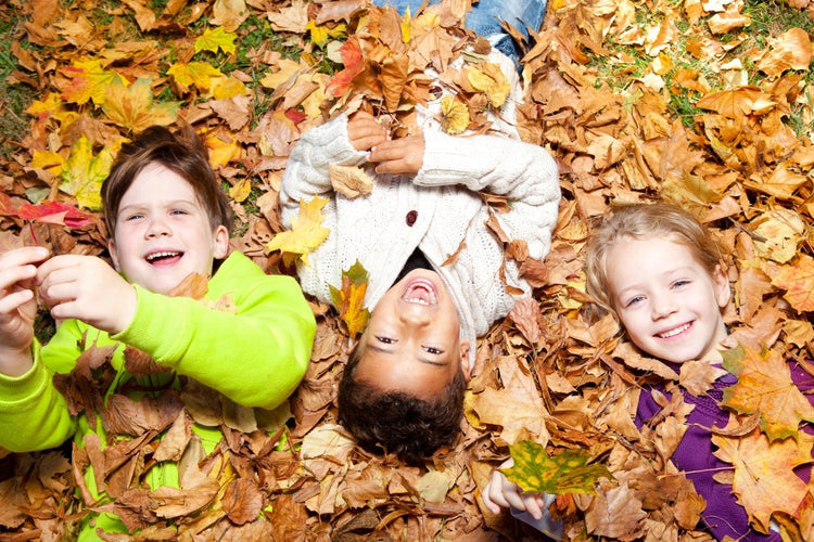 Children playing in leaves.